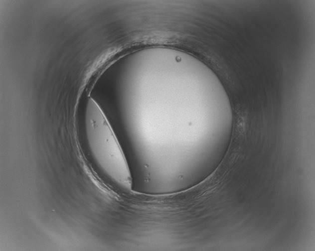 X0000077310678200610200842