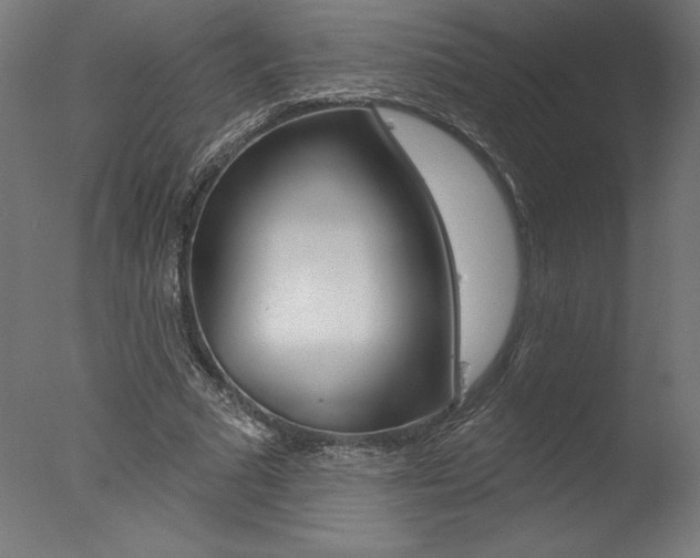 X0000077310681200610200842