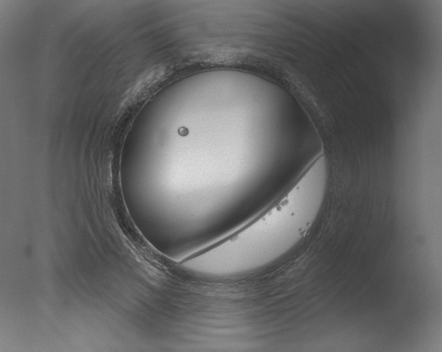 X0000077310685200610200842