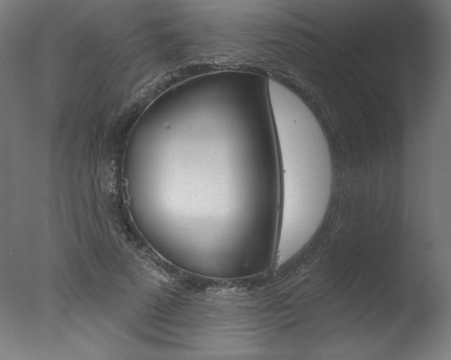 X0000077310689200610200842