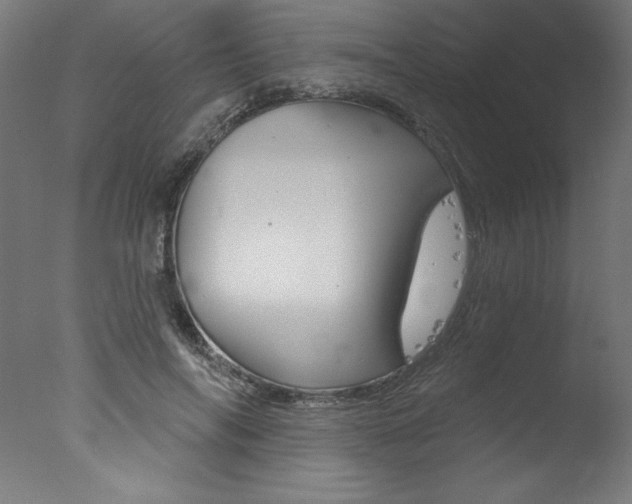 X0000077310694200610200842
