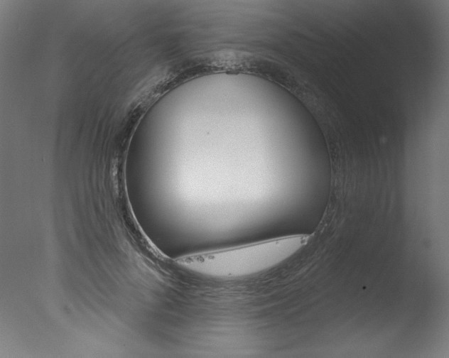 X0000077310696200610200842