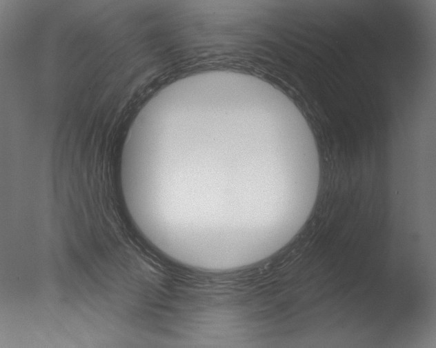 X0000077310701200610200842