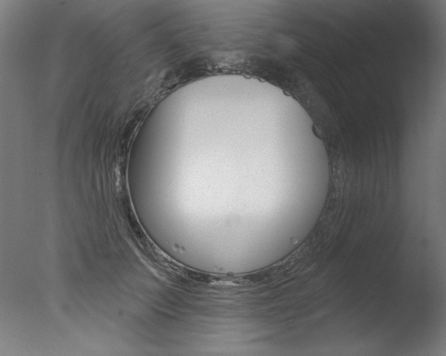 X0000077310703200610200842