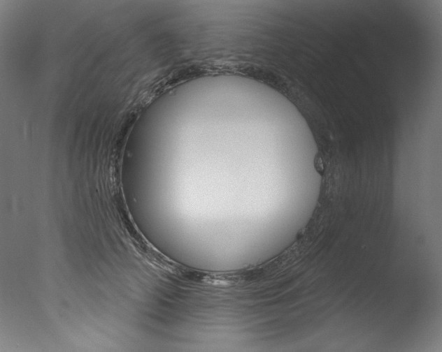 X0000077310706200610200842