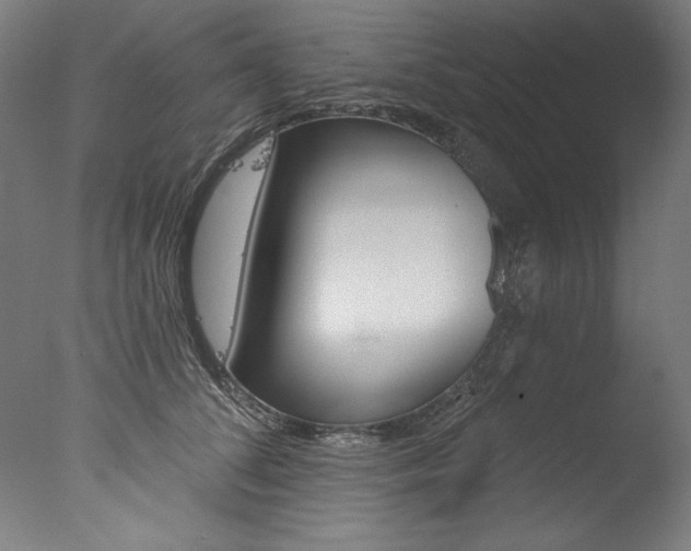 X0000077310708200610200842