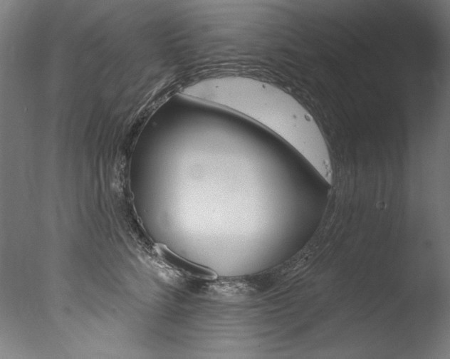 X0000077310712200610200841