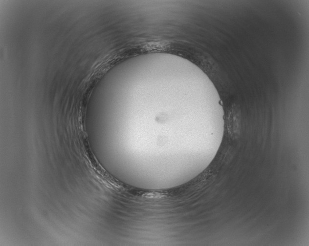 X0000077310714200610200841