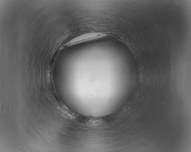 X0000077310716200610200841