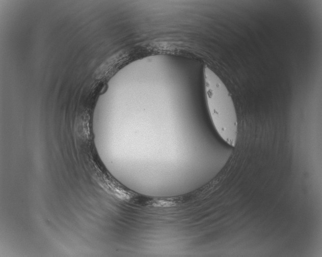 X0000077310718200610200841