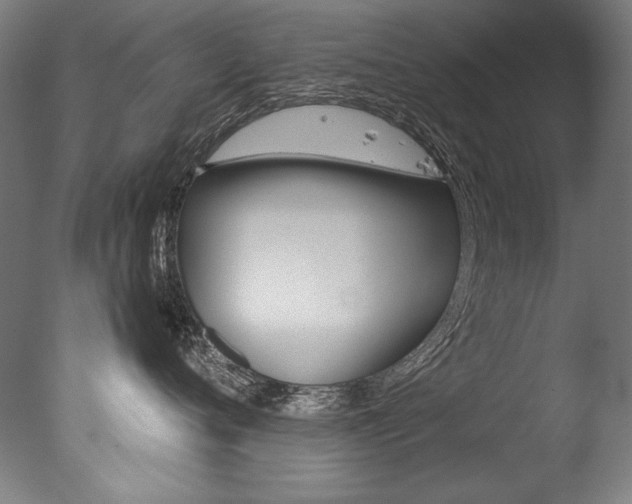 X0000077310720200610200841