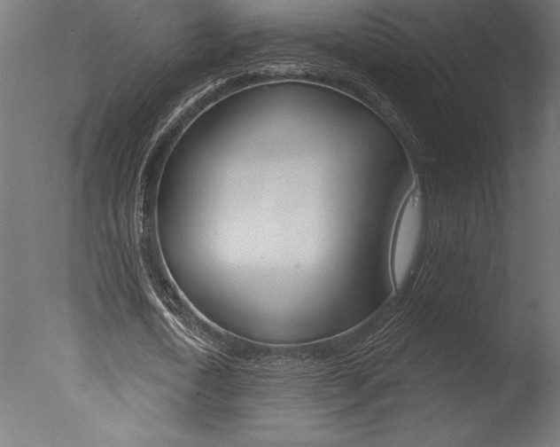X0000077310722200610200841