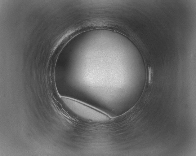 X0000077310723200610200841