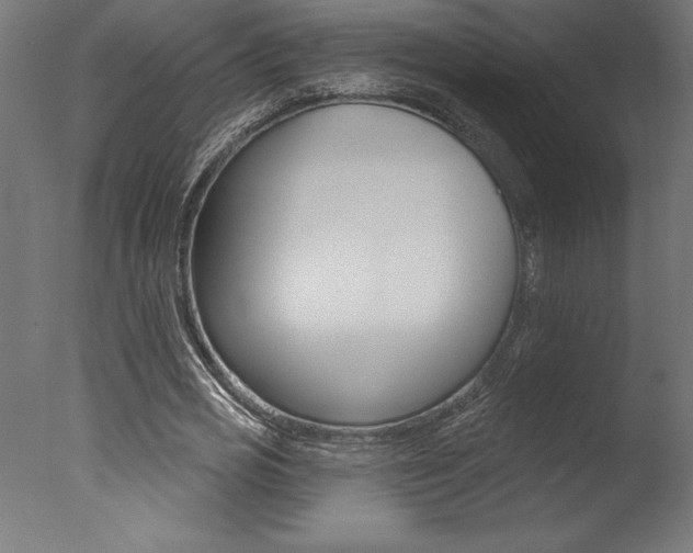 X0000077310725200610200841