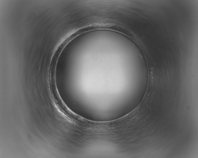 X0000077310726200610200841