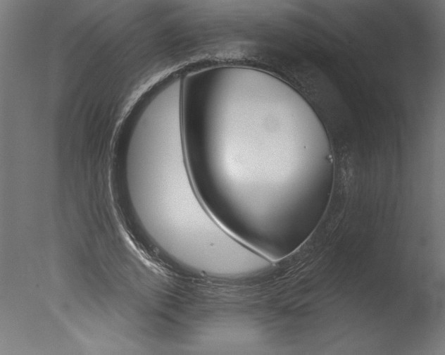 X0000077310728200610200841