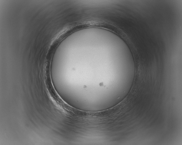 X0000077310730200610200841