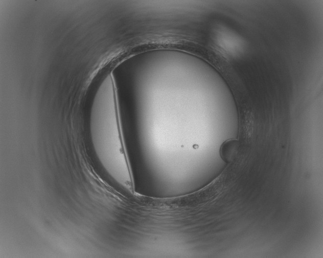 X0000077310731200610200841