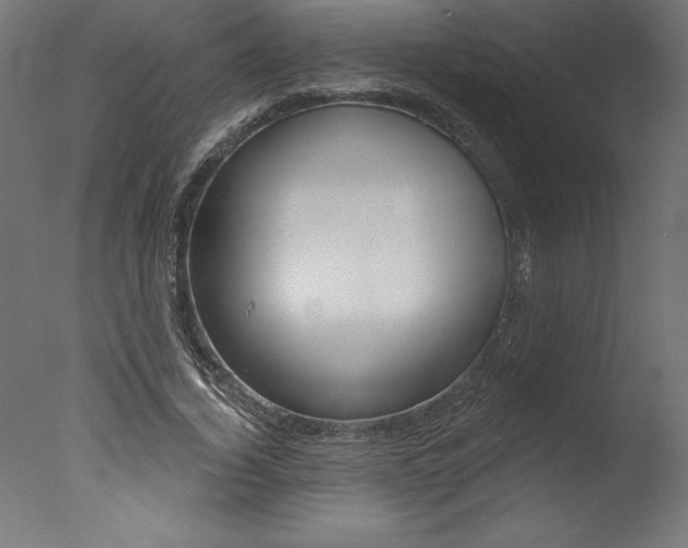 X0000077310732200610200841