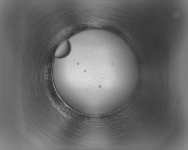 X0000077310738200610200841