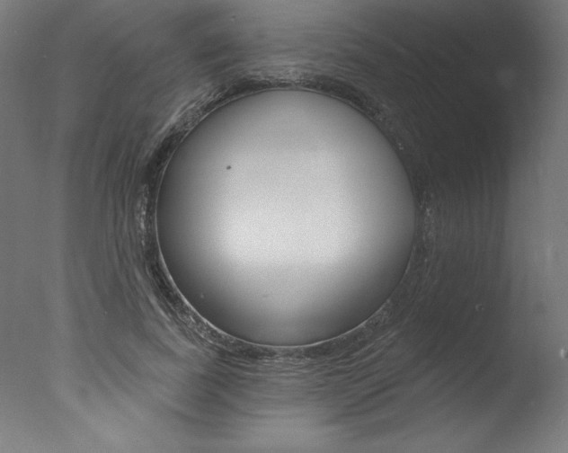 X0000077310739200610200841
