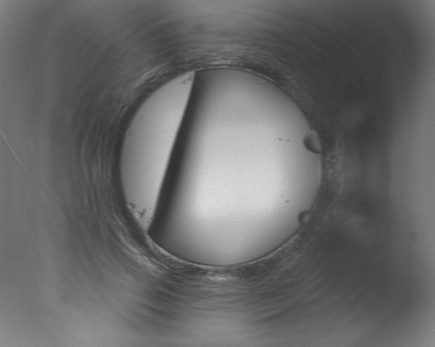 X0000077310741200610200841