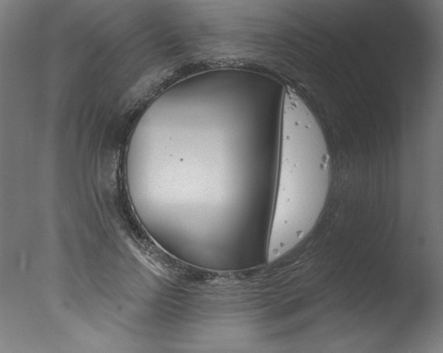 X0000077310742200610200841