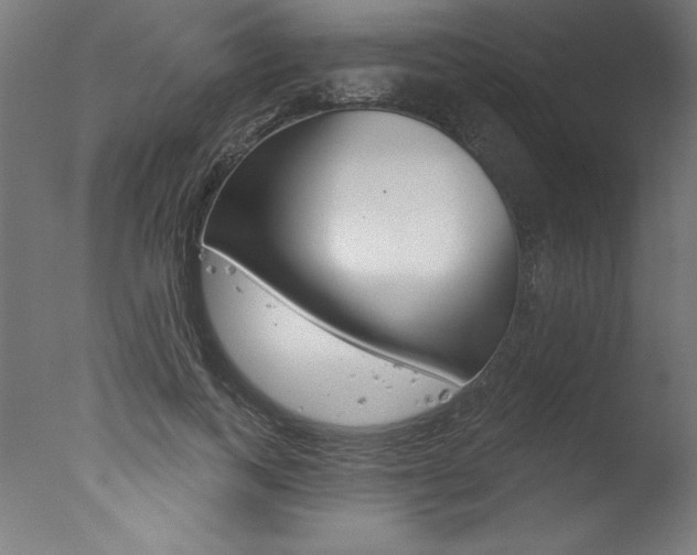 X0000077310743200610200841