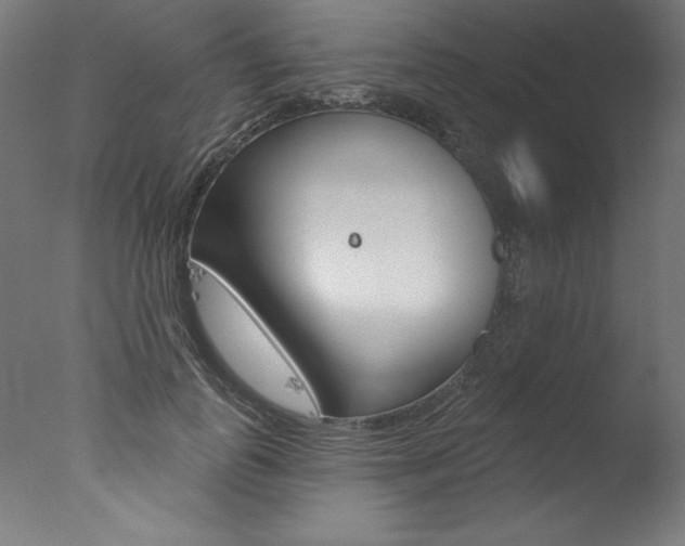 X0000077310747200610200841