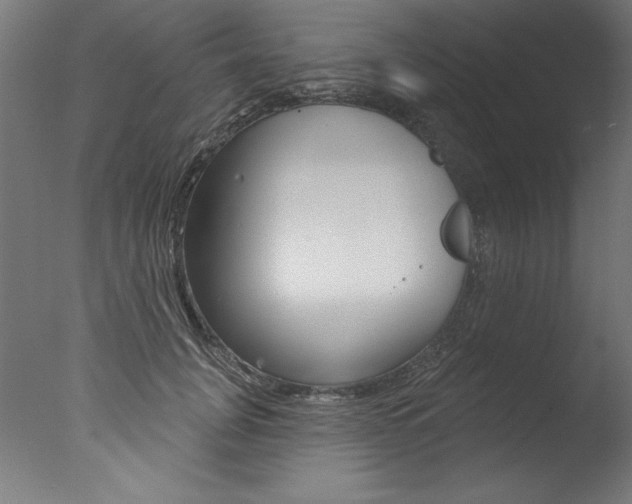 X0000077310751200610200841