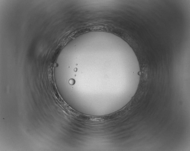 X0000077310753200610200841