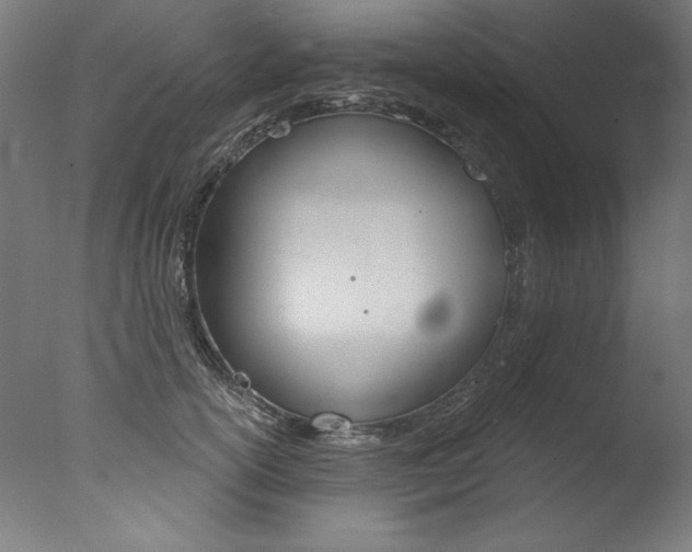 X0000077310754200610200841