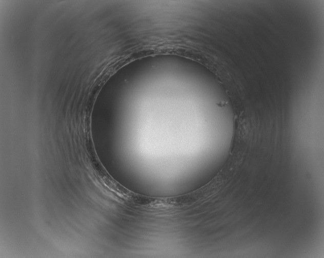 X0000077310756200610200841