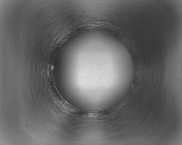 X0000077310758200610200841