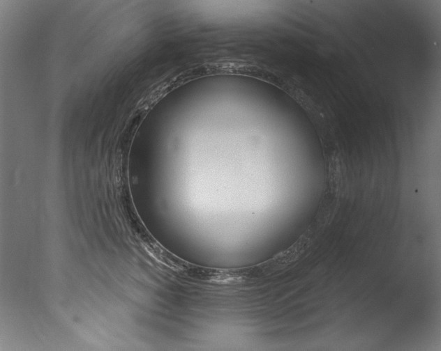 X0000077310760200610200841
