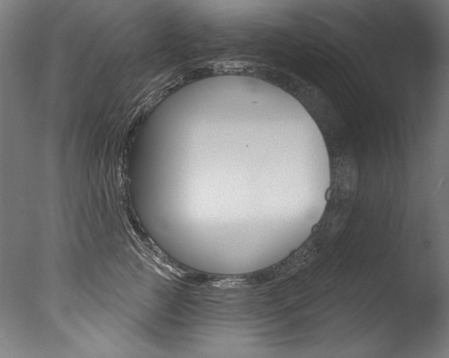 X0000077310761200610200841