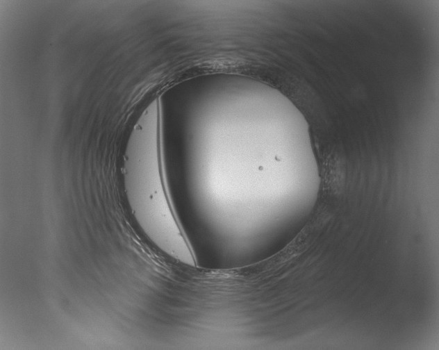 X0000077310762200610200841