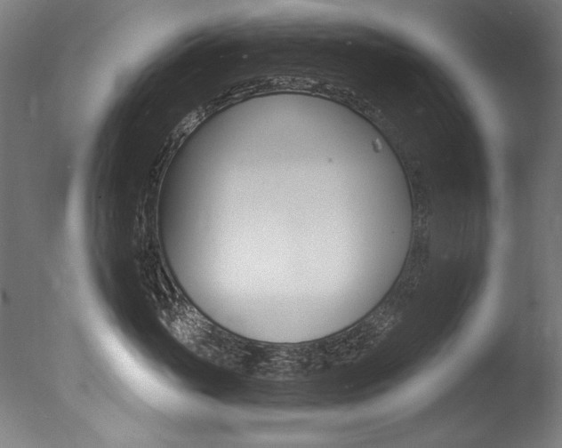 X0000077310765200610200841