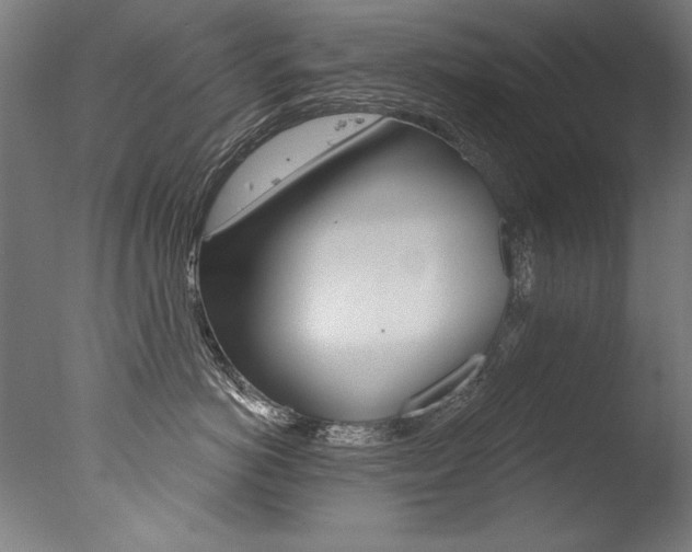 X0000077310766200610200841