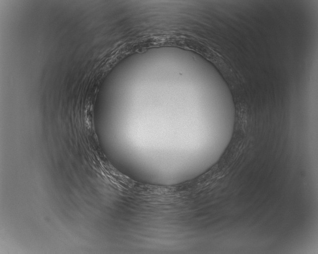 X0000077310770200610200841