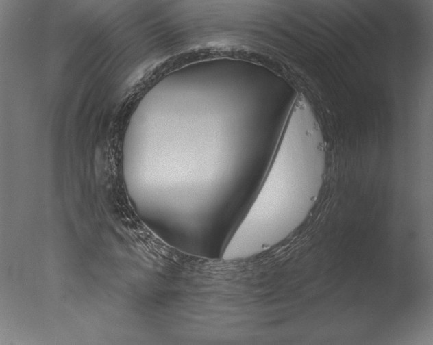 X0000077310776200610200840