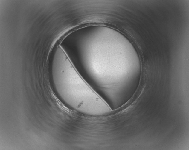 X0000077310779200610200840
