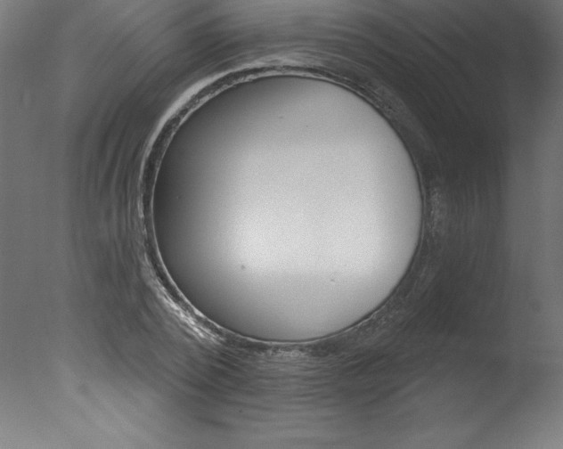 X0000077310784200610200840