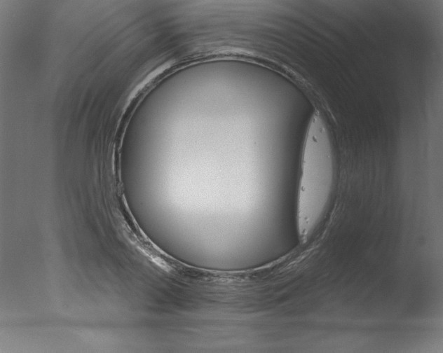 X0000077310790200610200840