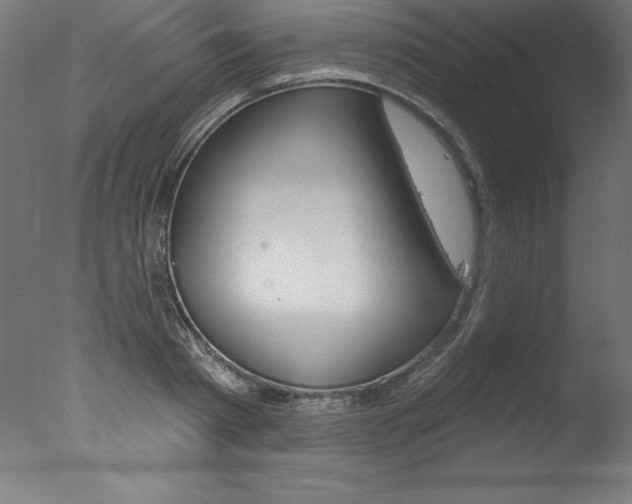 X0000077310793200610200840