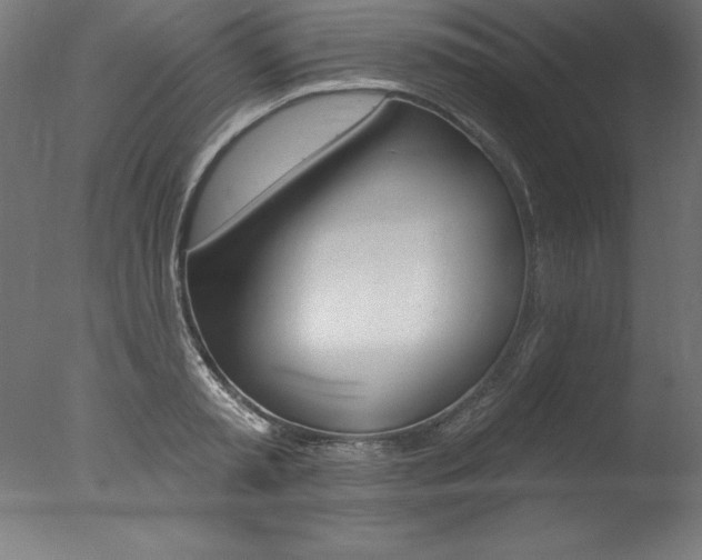 X0000077310797200610200840