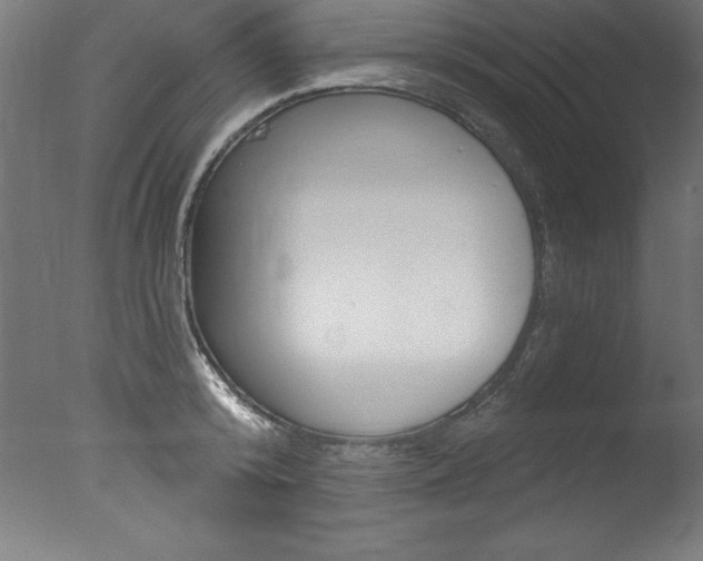 X0000077310800200610200840