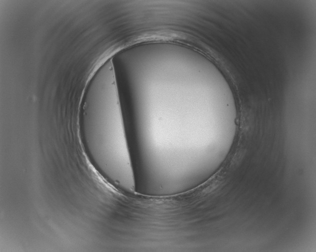 X0000077310802200610200840
