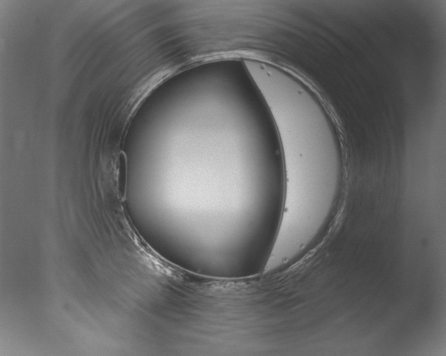 X0000077310809200610200840