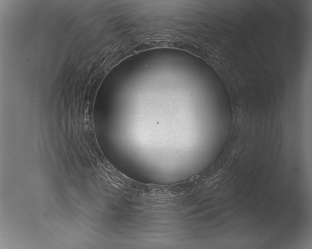 X0000077310818200610200839